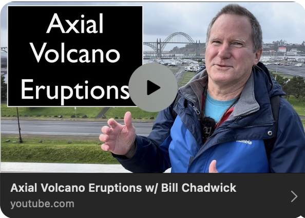 Frame grab from YouTube video interview by Nick Zentner with Bill Chadwick